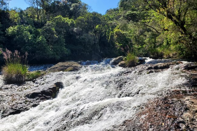 PROGRAMA PSA – CONSERVAÇÃO AMBIENTAL E PROTEÇÃO DOS RECURSOS HÍDRICOS