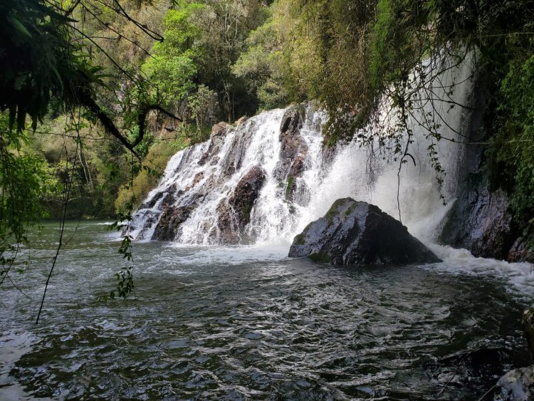Agradecimento aos participantes do Programa de Pagamento por Serviços Ambientais - PSA
