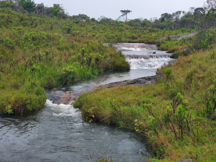 Agradecimento aos participantes do Programa de Pagamento por Serviços Ambientais - PSA