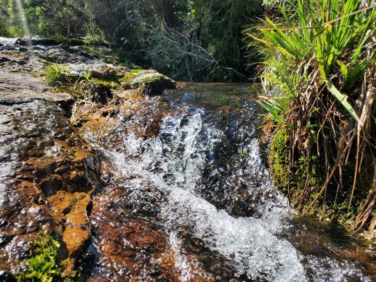 Agradecimento aos participantes do Programa de Pagamento por Serviços Ambientais - PSA
