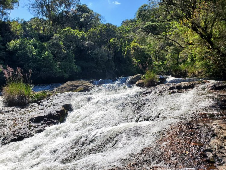 Agradecimento aos participantes do Programa de Pagamento por Serviços Ambientais - PSA